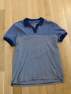 Men's Blue Striped Polo Shirt